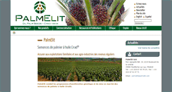 Desktop Screenshot of palmelit.com